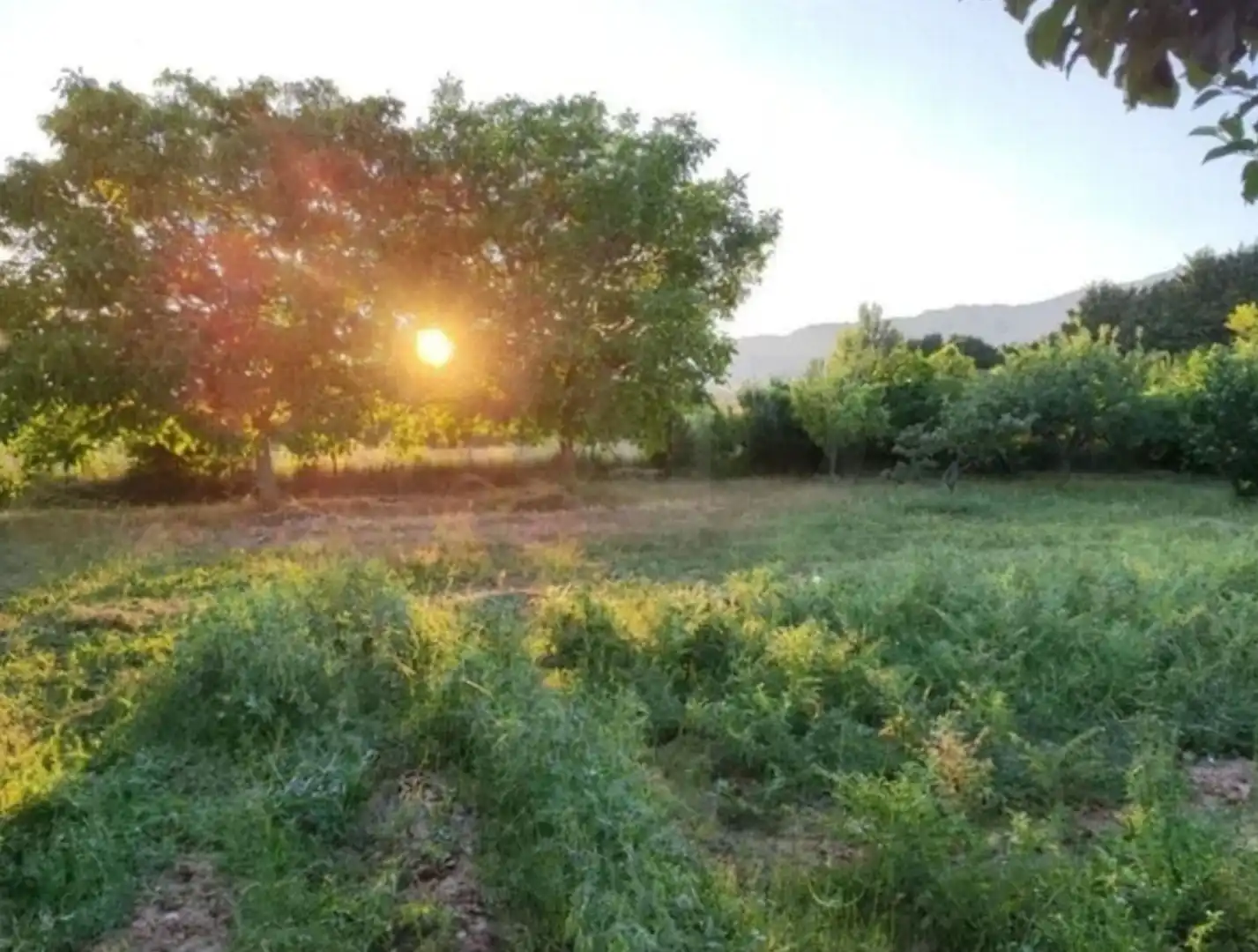 Finca rústica en venda en Quintanaélez amb Calefacció i Terrassa