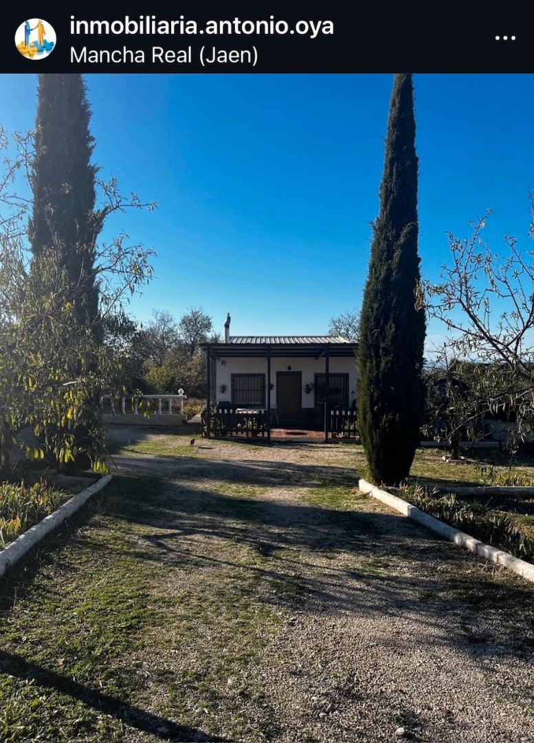 Jardí de Finca rústica en venda en Mancha Real amb Calefacció, Jardí privat i Moblat