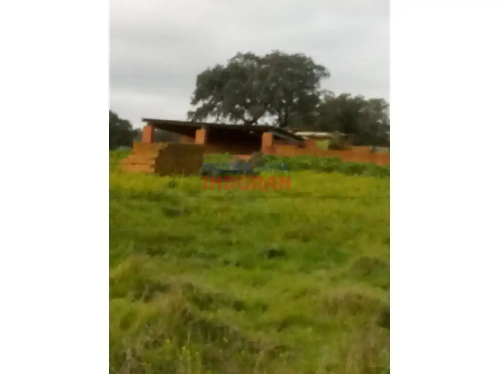 Finca rústica en venda en Alcolea de Tajo
