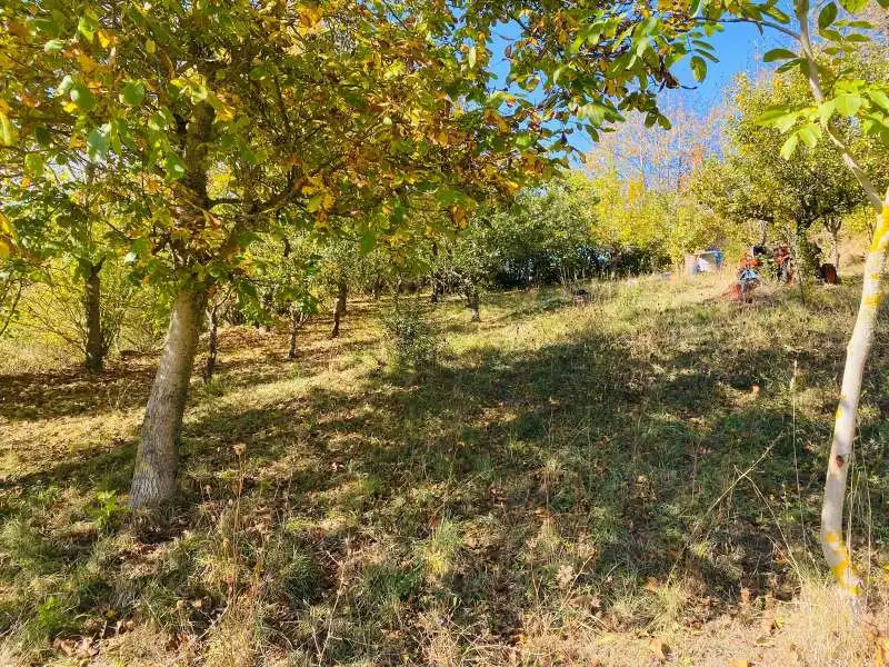Terreno en venta en Zorraquín