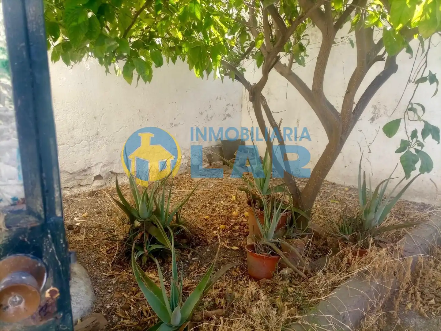 Casa in vendita a Moguer, imagen 8