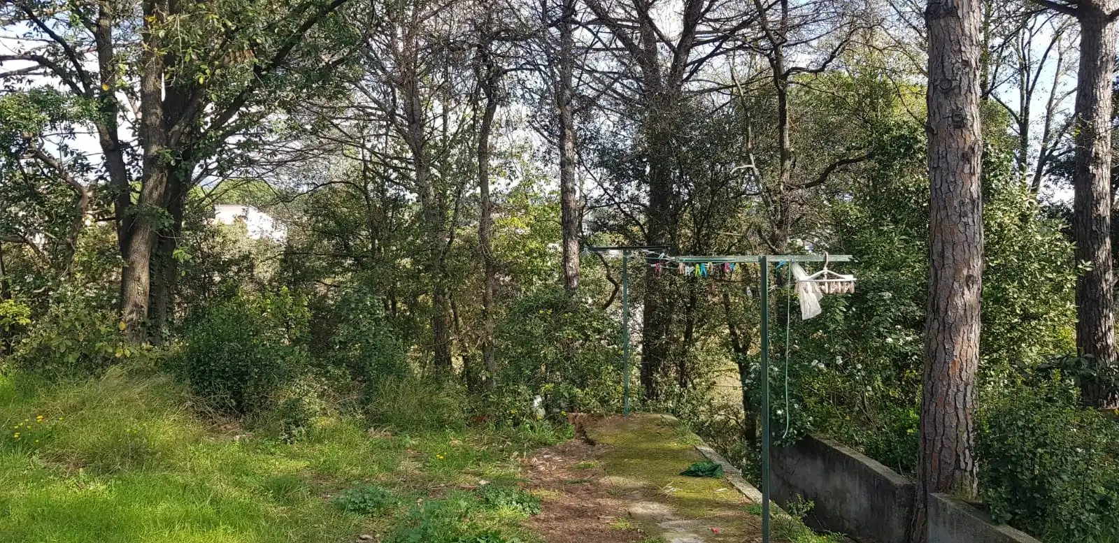 Wohnbaugrundstück zum Verkauf in Riu Gurri, imagen 10