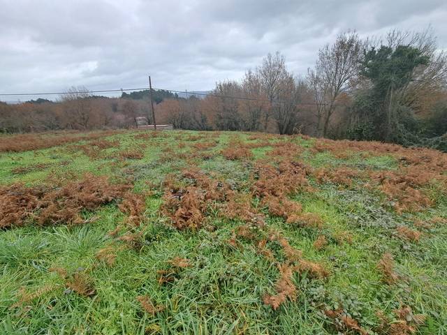 Terreno residencial en Venta en Coles