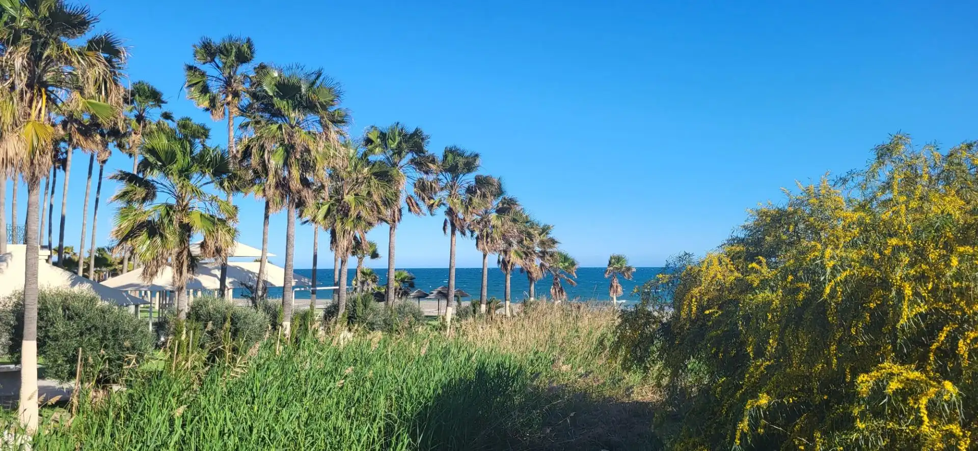 Chalet con jardín en venta en Benamara - Atalaya, imagen 31