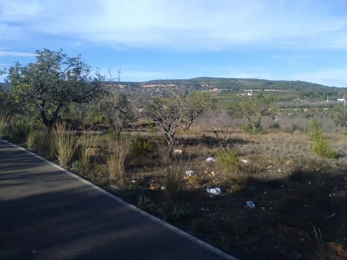 Terreno residencial en venta en Algímia de Alfara, imagen 11