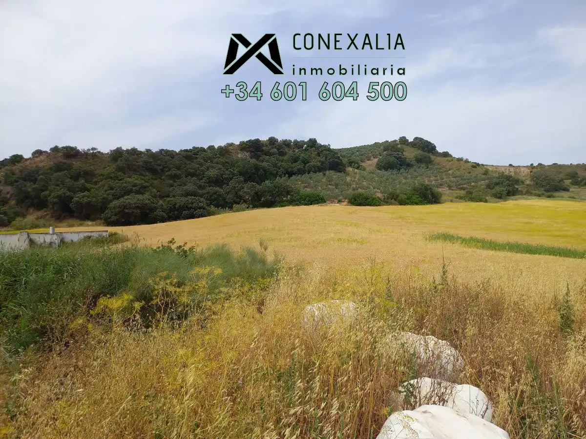 Casa rústica en venda a Camada de los Lobos. Carretera a-363 Moron-Pruna, imagen 2