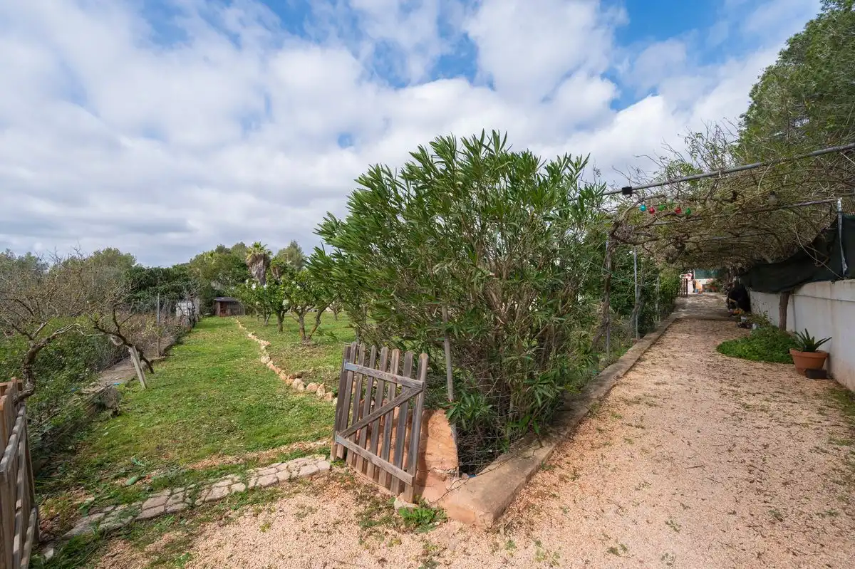 Maison avec jardin à vendre à Diseminado P 26 Sta Gertrudis, imagen 47