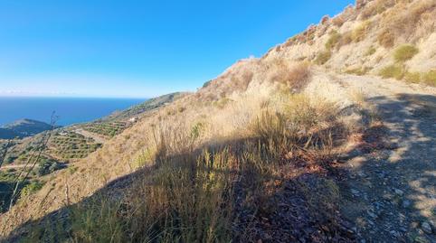 Photo 2 of Land for sale in N/a, -1, Maro - Cuevas de Nerja, Málaga