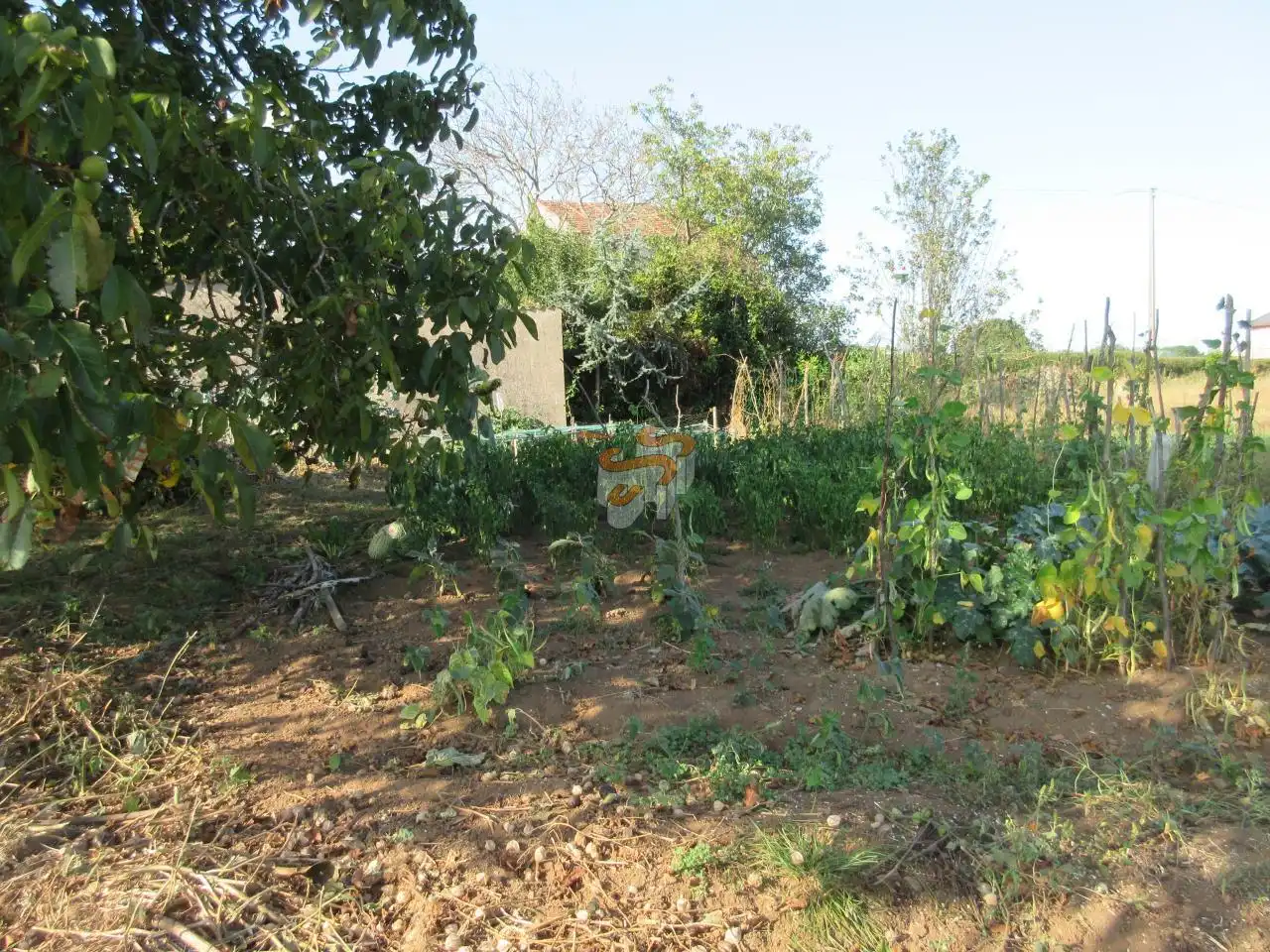 Casa rústica amb jardí en venda a A Malata - Catabois - Ciudad Jardín, imagen 22