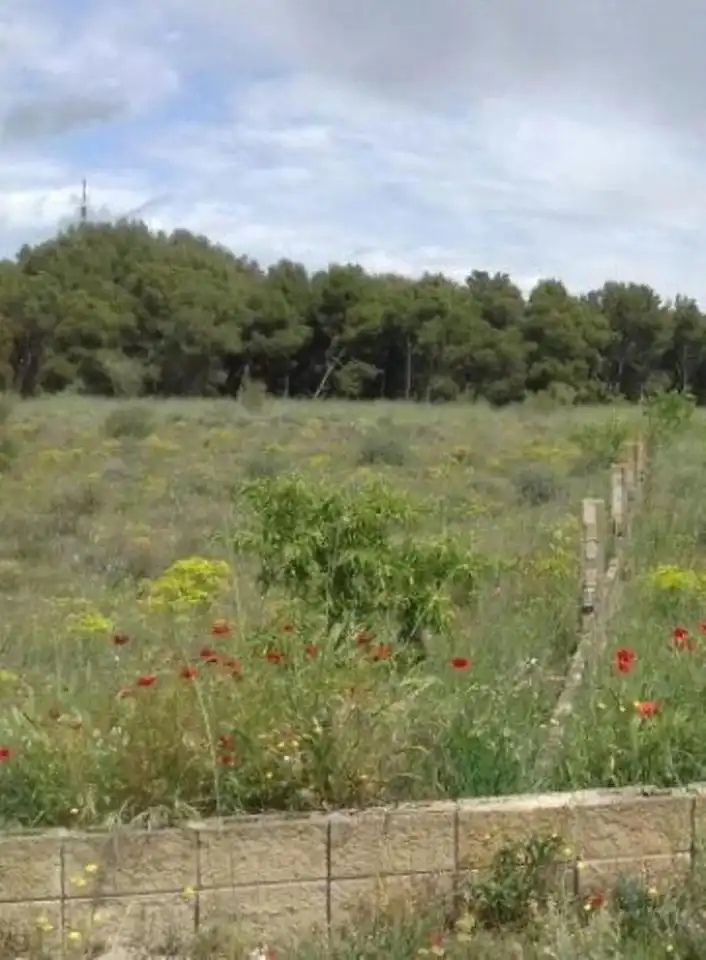 Terrenos y solares en venta en Partida Cerdera Baixa, imagen 2