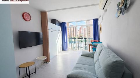 Foto 3 de Estudi en venda a Juzgados - Plaza de Toros, Benidorm