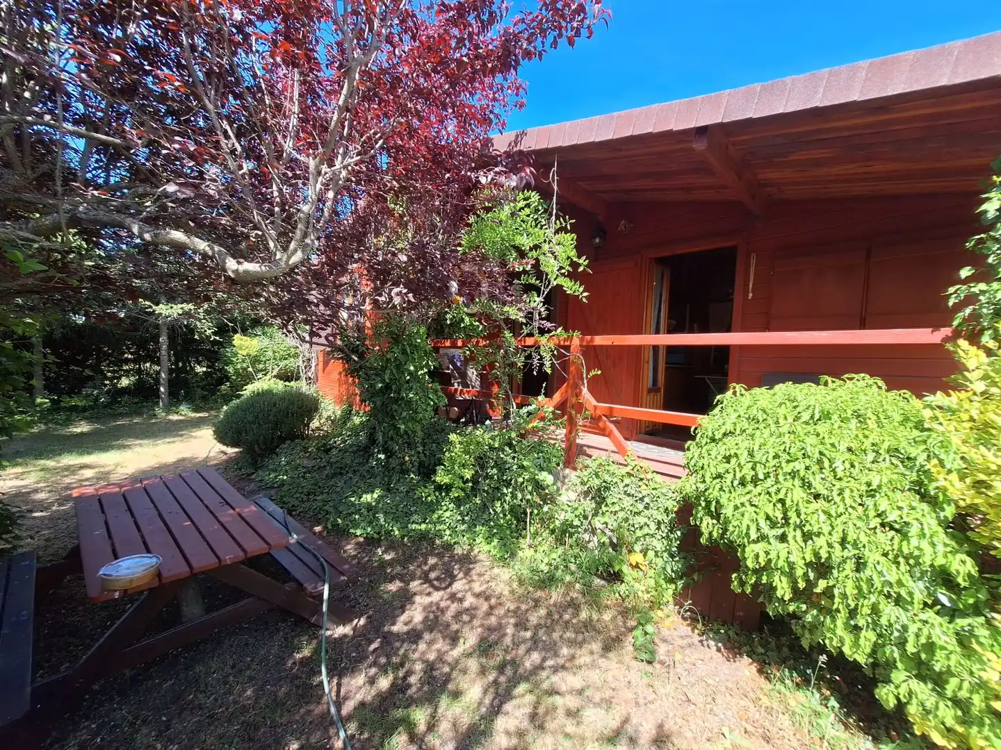 Garden of Houses for sale in Peguerinos