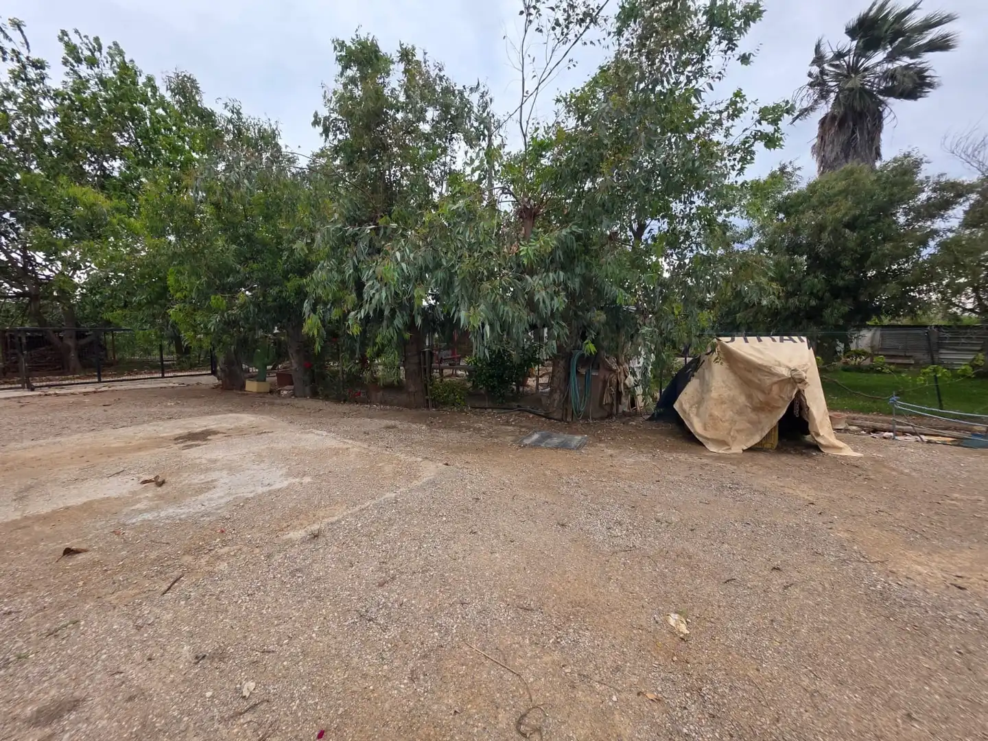 Terreno en venta en Amposta