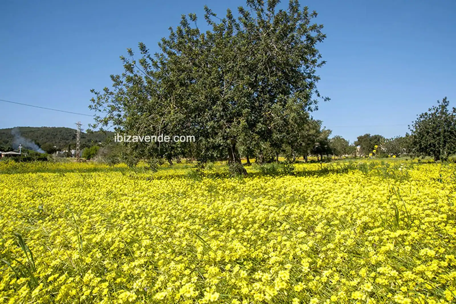 Residential land for sale in San Juan, imagen 4