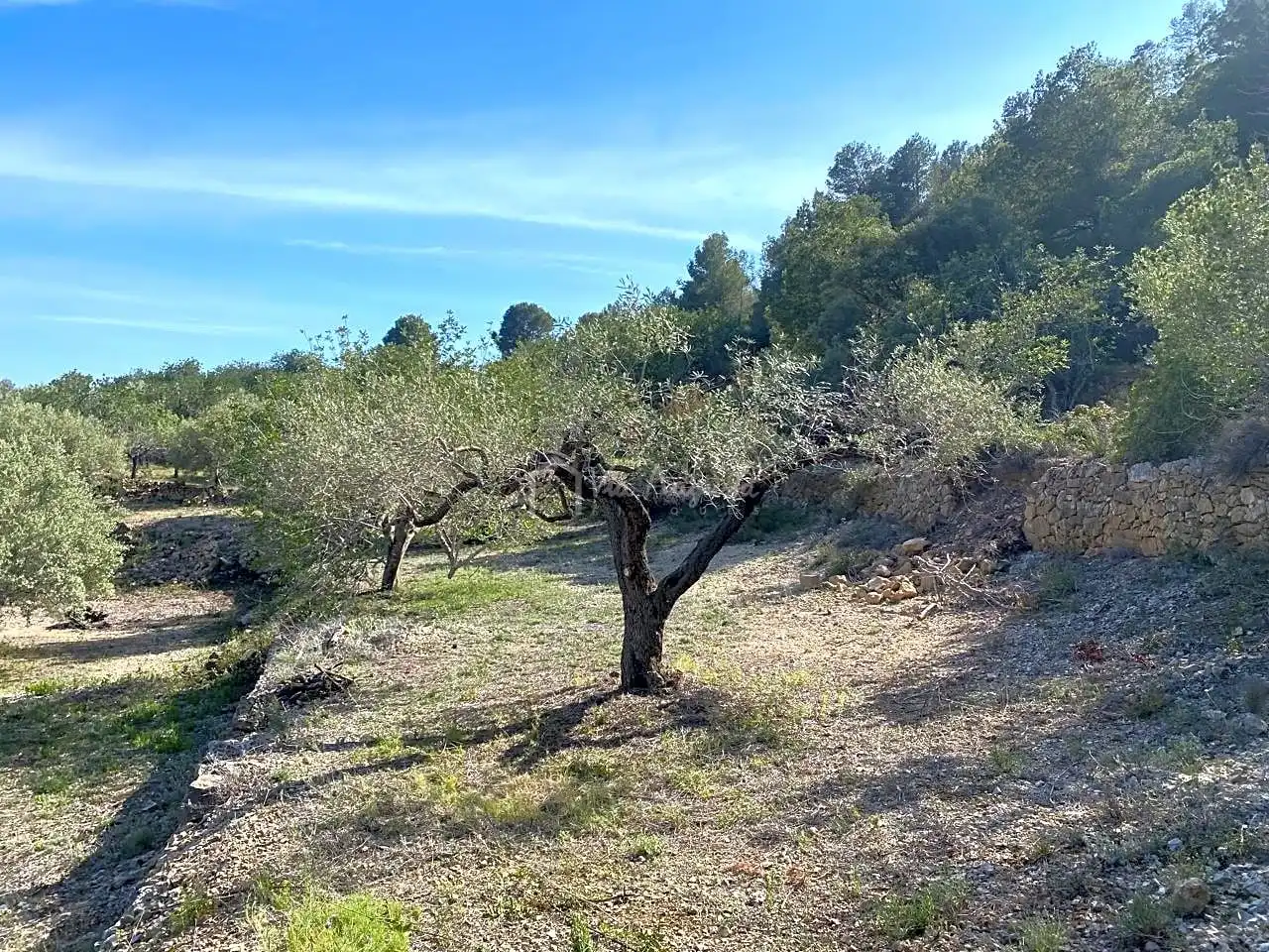 Terreno rustico in vendita a Puig Moltó, imagen 9