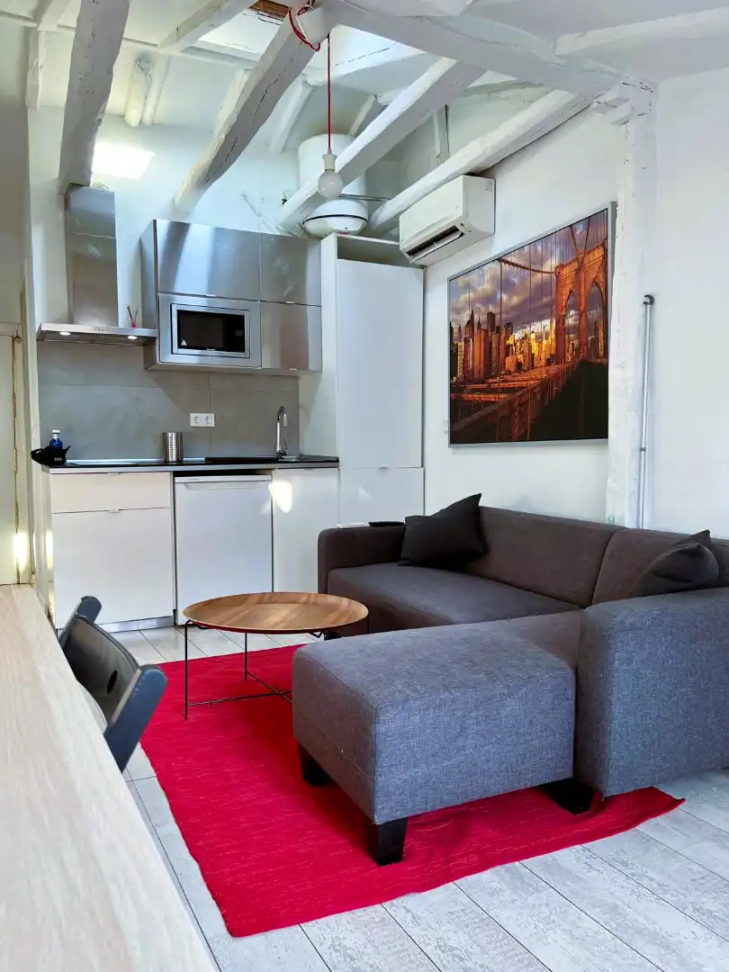 Wohnzimmer von Wohnung zur Miete in Madrid mit Klimaanlage, Heizung und Möbliert