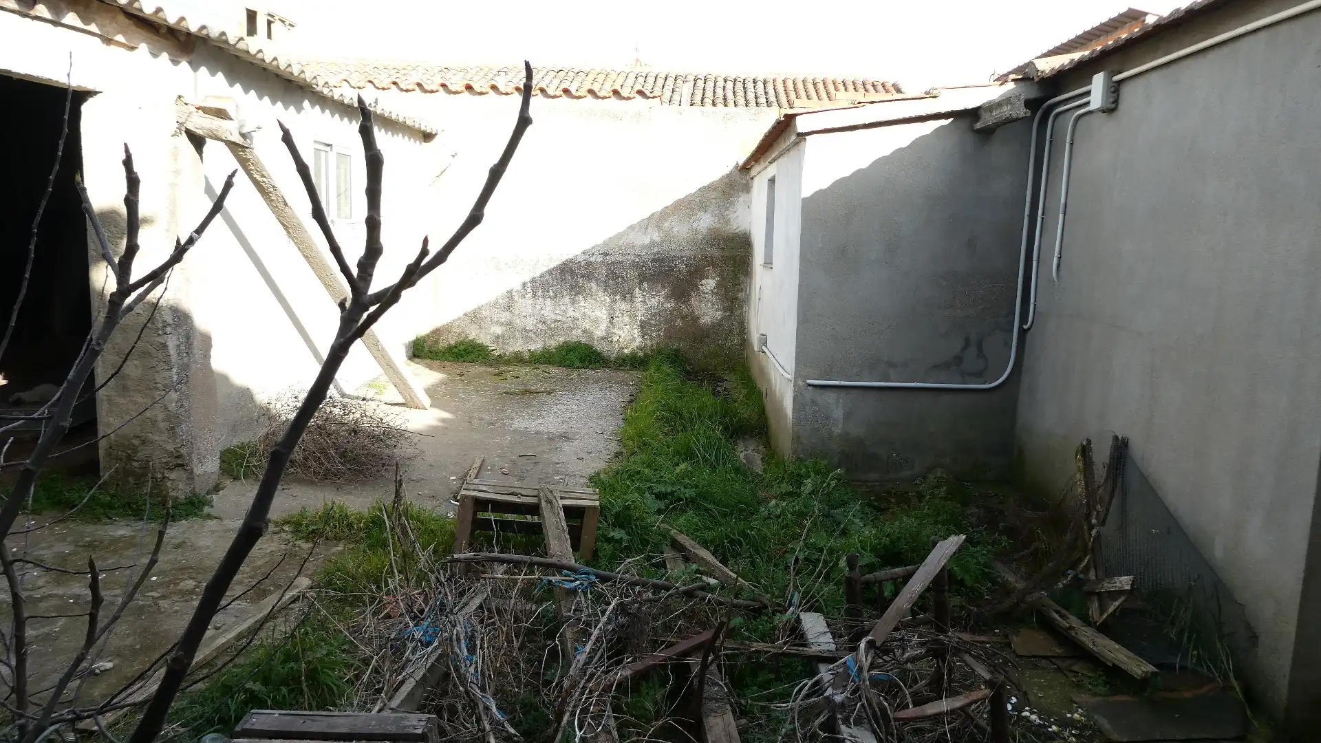 Houses for sale in Palacios del Pan