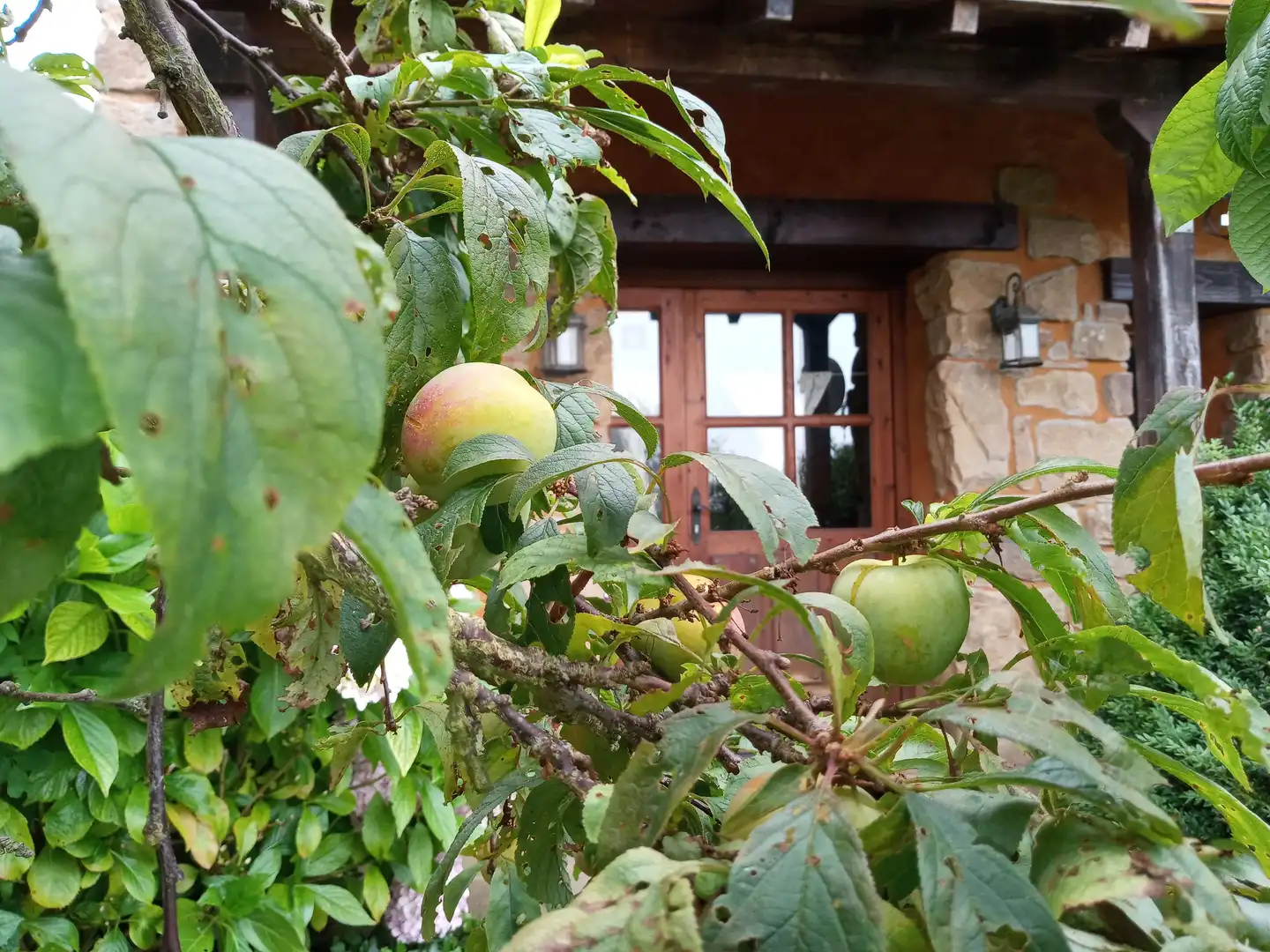 Jardín de Finca rústica en venta en San Roque de Riomiera con Jardín privado