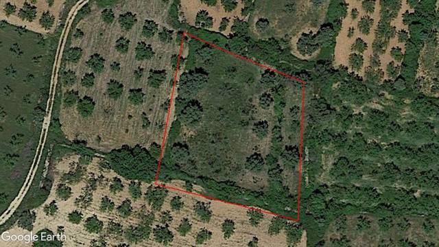 Terreno en Venta en Albocàsser