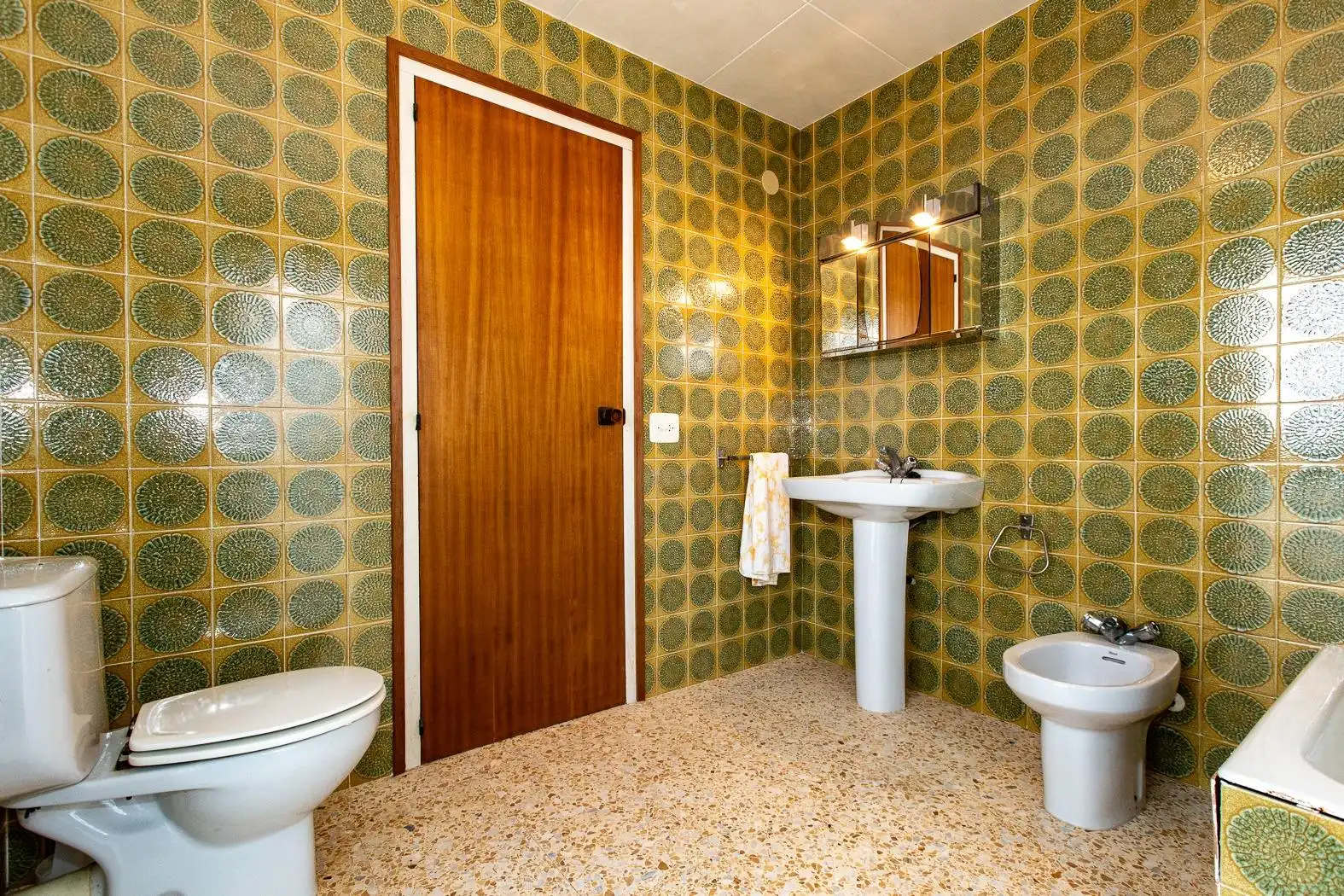 Casa o chalet en venta en Alcanar
