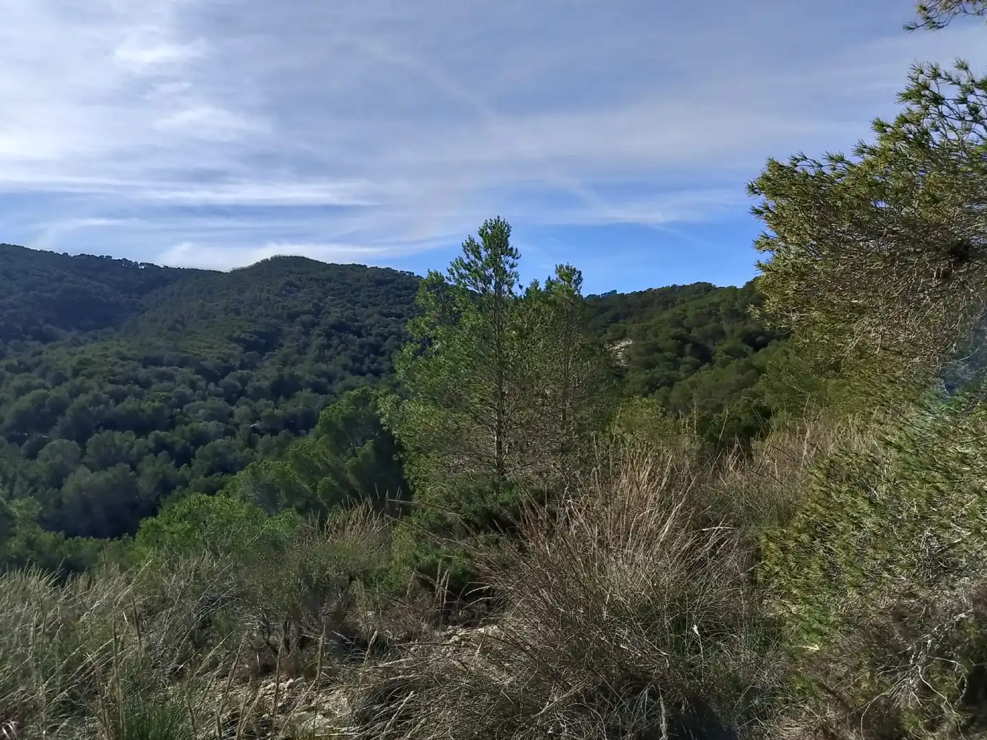 Terreno rustico in vendita a Carrer la Creu, imagen 7