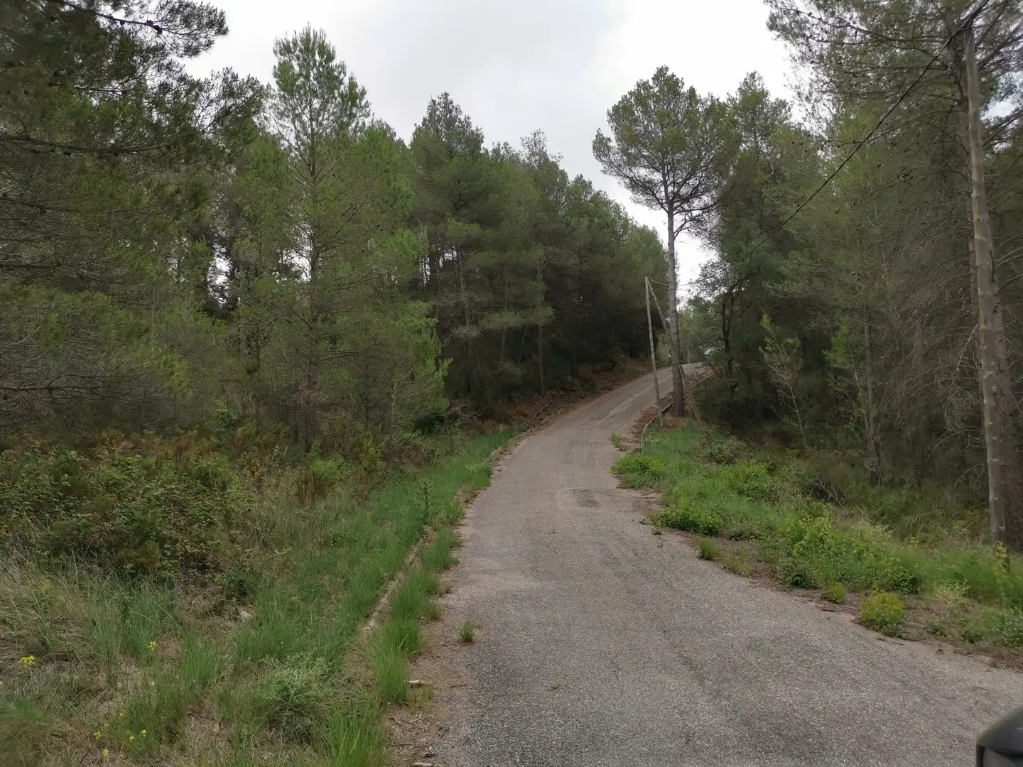 Terreny residencial en venda a El Montmell, imagen 5