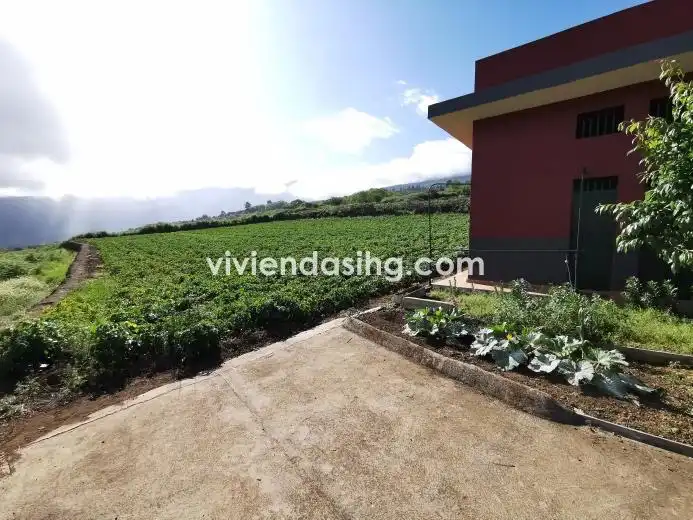 Terreno rustico in vendita a La Perdoma - San Antonio - Benijos, imagen 9