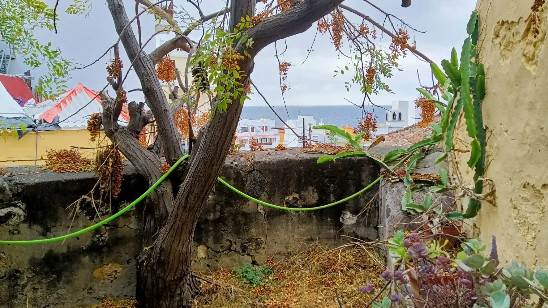 Casa o xalet en venda a Santa Cruz de la Palma