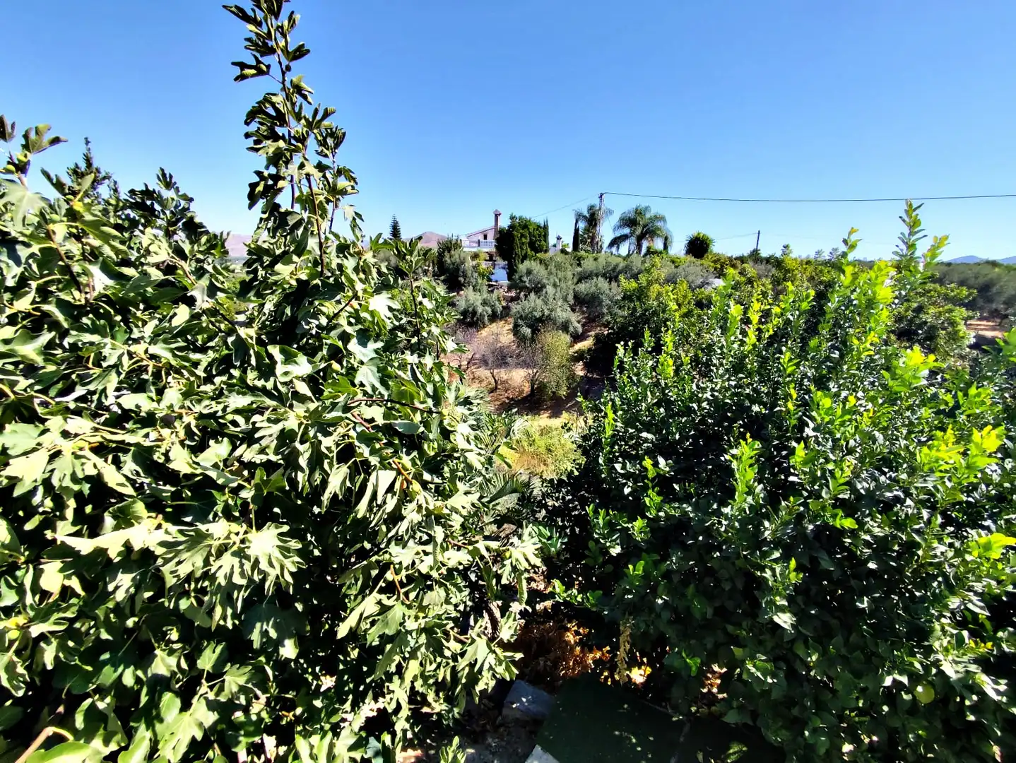 Maison rustique avec jardin à vendre à Casalpalma - Fahala, imagen 21