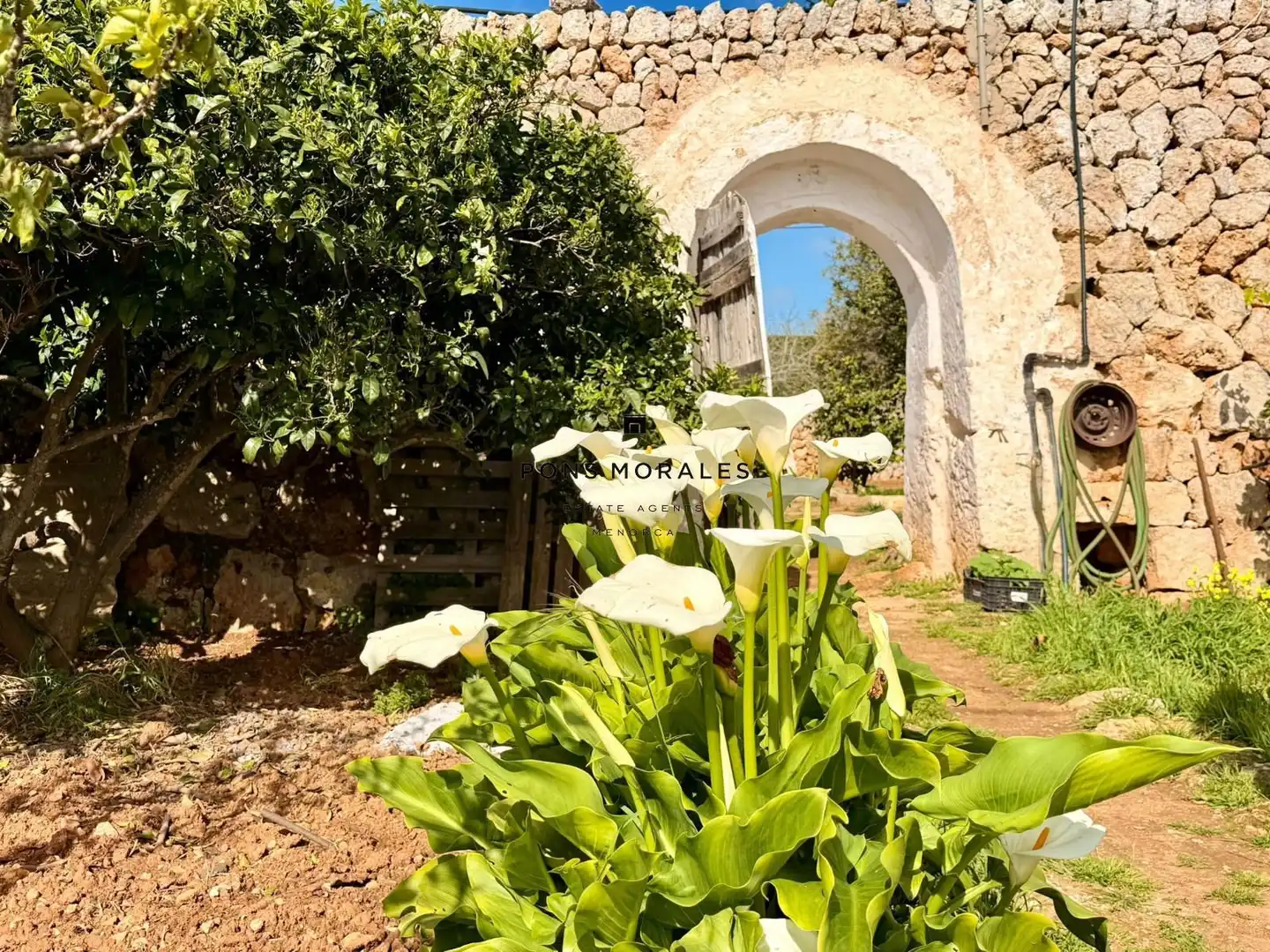 Jardí de Finca rústica en venda en Ciutadella de Menorca amb Calefacció, Piscina i Moblat