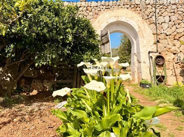 Landhaus mit Pool zum Verkauf in Sant Antoni