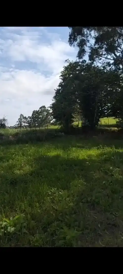 Finca rústica en venta en Valdáliga