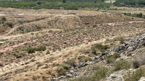 Photo 5 of Residential for sale in Monreal, Parc. 236. Pg.3, -1, Fraga, Huesca