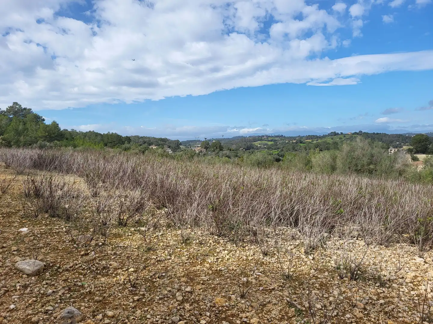 Residential for sale in Sant Joan