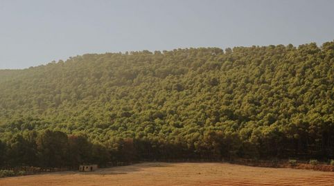 Foto 5 de Residencial en venta en Humilladero, Málaga