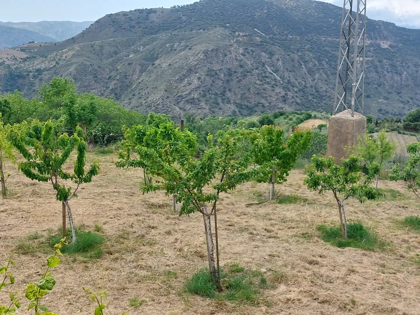 Land for sale in Pórtugos