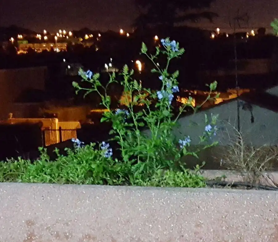 Vista exterior de Casa o xalet en venda en La Pobla de Vallbona amb Aire condicionat, Calefacció i Piscina