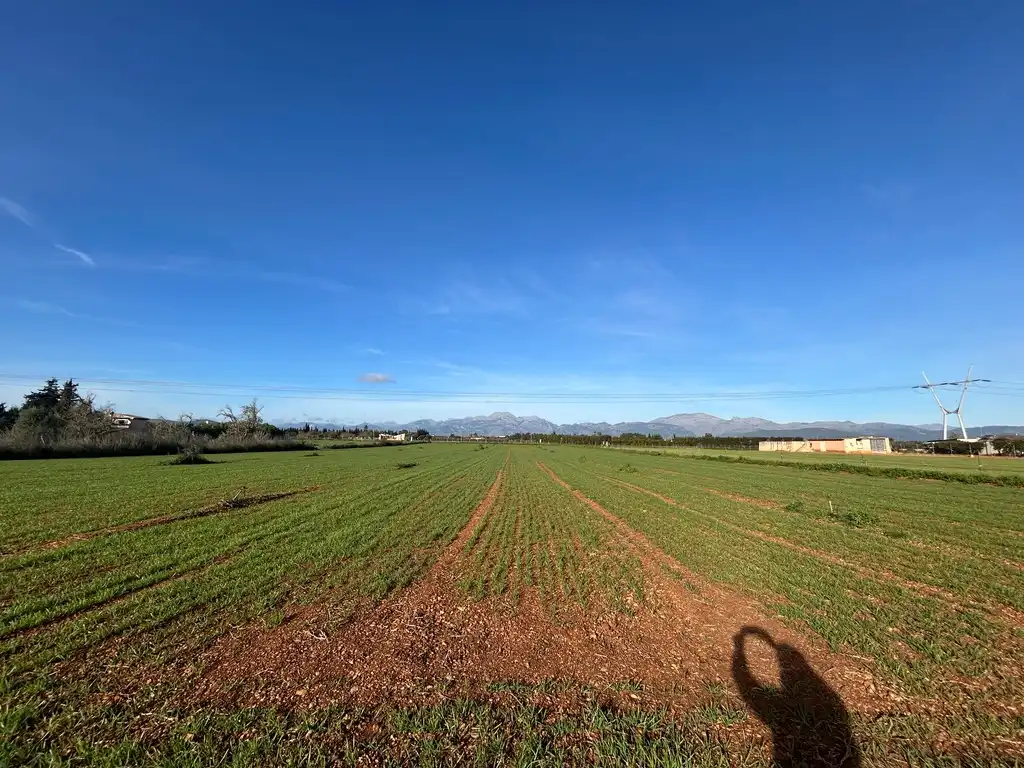 Land for sale in Muro