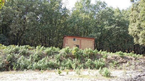 INMOEX VENDE FINCA EN JARANDILLA DE LA VERA , imagen 2