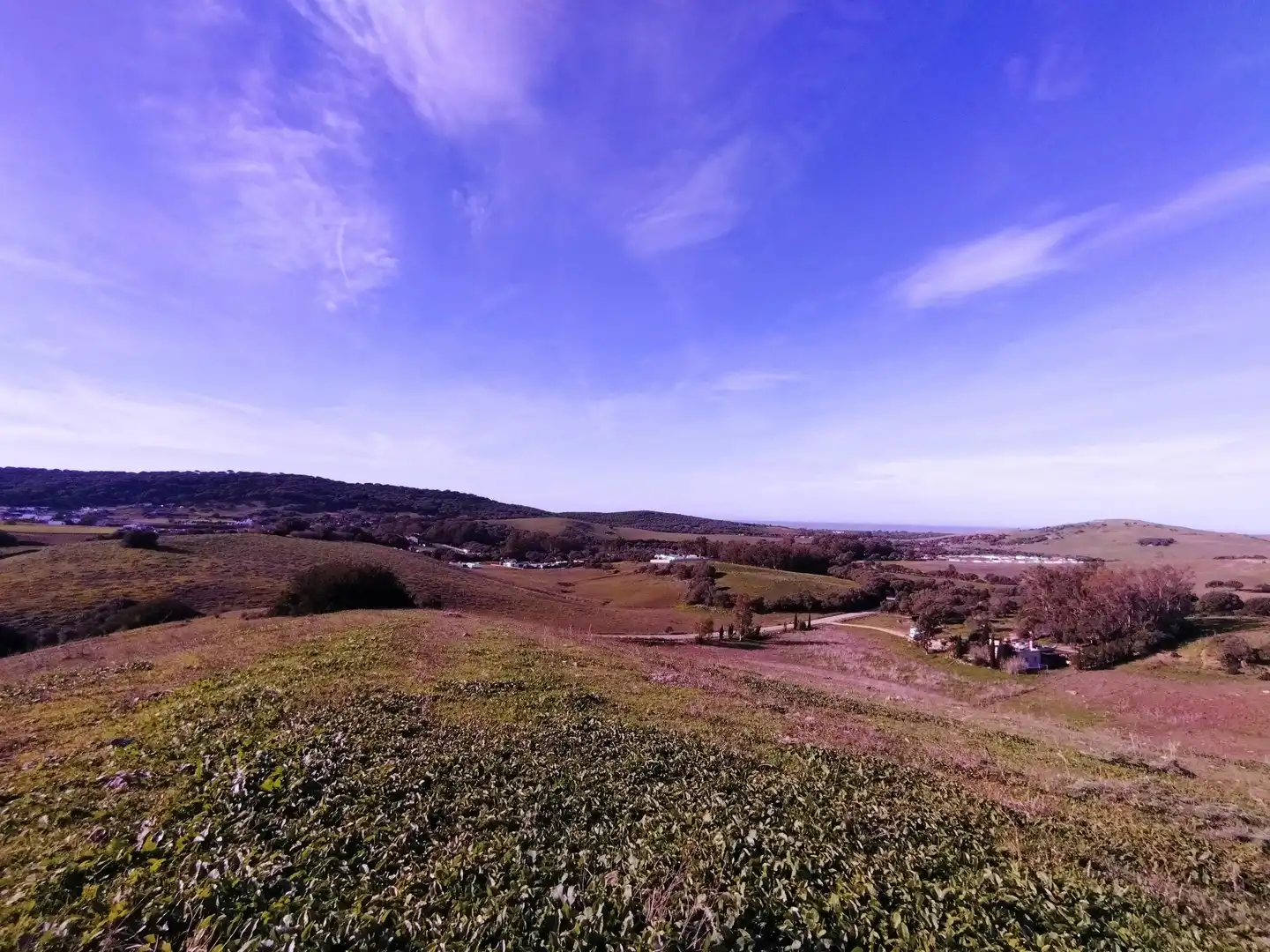 Terreno rustico in vendita a Carretera Arroyo San Ambrosio 385, imagen 5