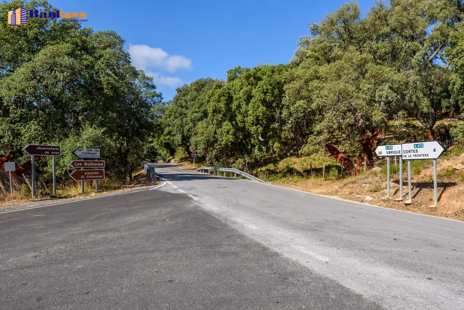Vista exterior de Casa o xalet en venda en Cortes de la Frontera amb Calefacció, Jardí privat i Moblat