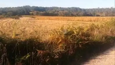 Terreno rustico in vendita a Zas, imagen 4