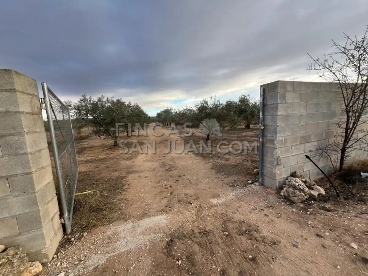 Country homes for sale in Biar