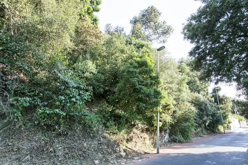 Rural land for sale in C/ Major del Rectoret, imagen 9