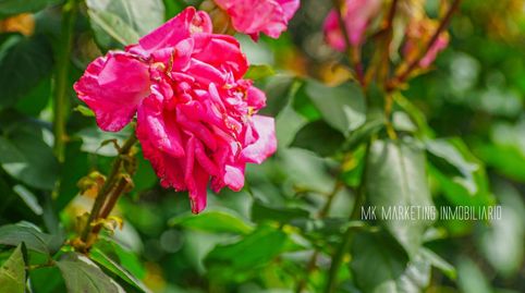 Foto 5 de Casa adosada en venda a Las Mesas - El Toscón, Las Palmas de Gran Canaria