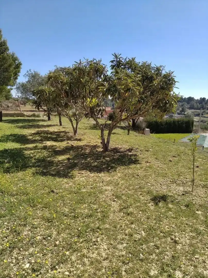 Casa o chalet en venta en Godelleta con Jardín privado, Terraza y Trastero