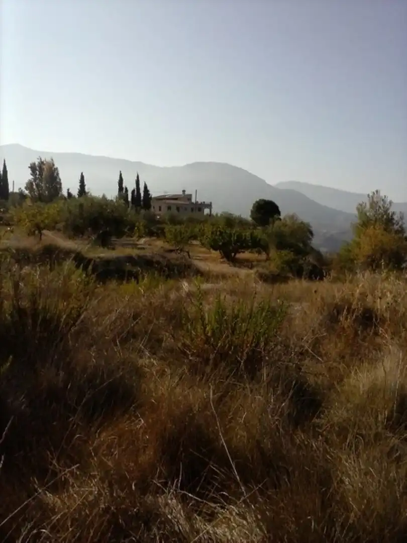 Houses for sale in Millena  with Terrace