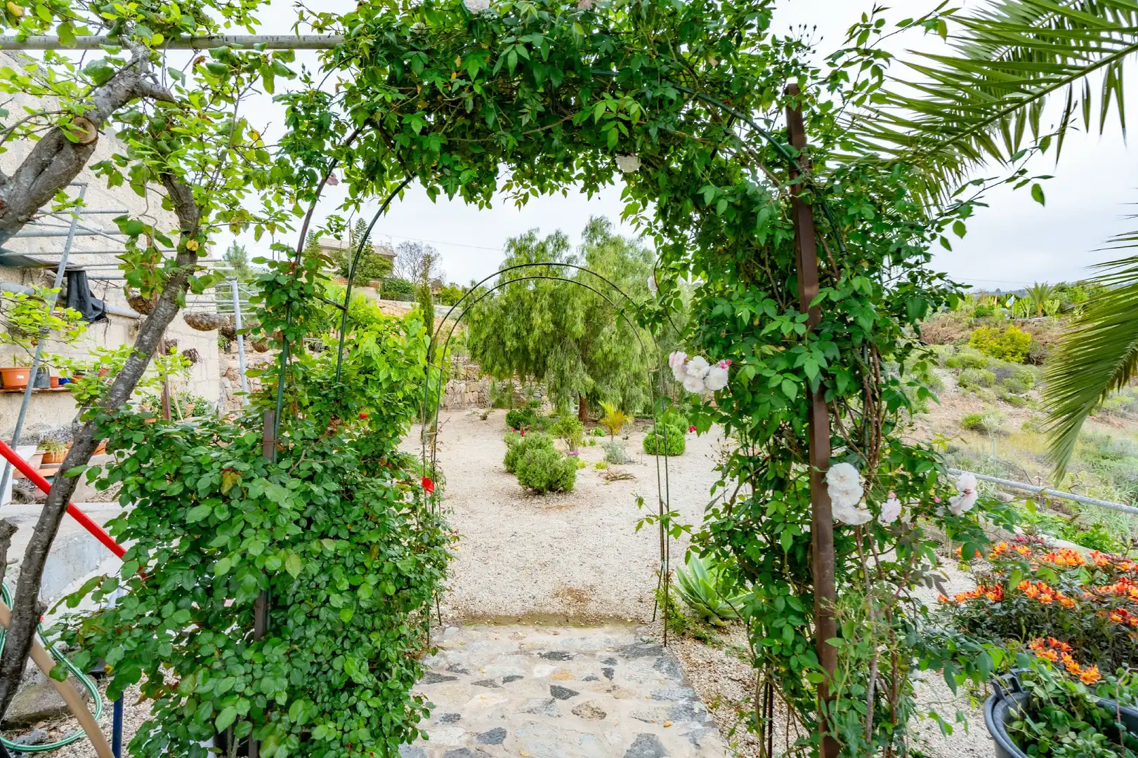 Jardín de Finca rústica en venta en Granadilla de Abona con Aire acondicionado, Jardín privado y Terraza