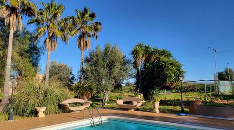 Foto 3 de Finca rústica en venda a Santa María del Camí, Illes Balears