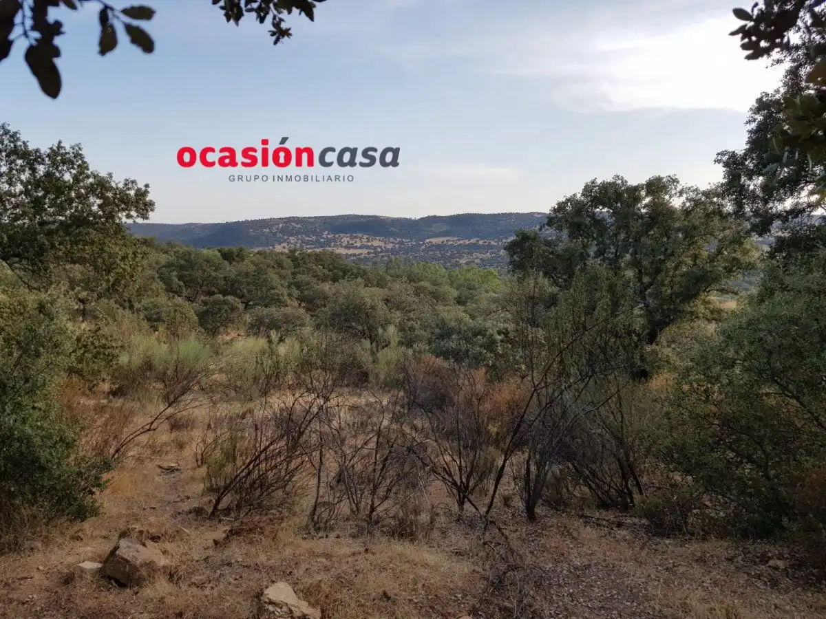 Finca rústica en venta en Espiel con Piscina y Amueblado
